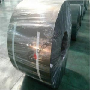 Free Sample B35P135 Electrical Steel Coil